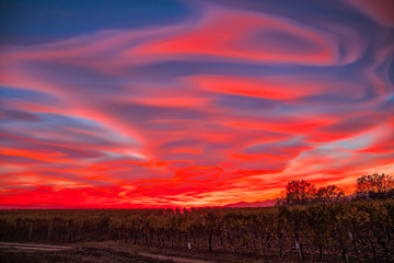 Fototapeta na wymiar Lenticular clouds, technically known as altocumulus standing lenticularis, at sunset above vineyards in northern Italy