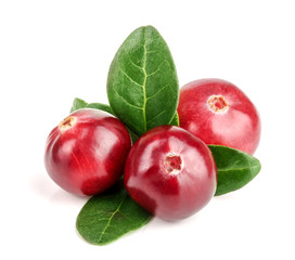 Cranberry with leaf isolated on white background closeup macro