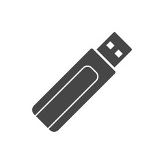 Usb flash memory icon 
