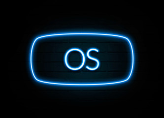 Os  - colorful Neon Sign on brickwall