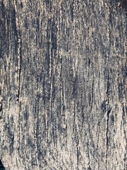 wood texture