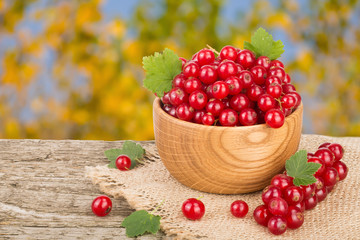 Red currant berries in wooden bowl on wooden table with blurry garden background
