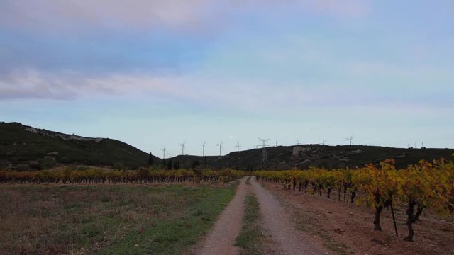 Timelapse sur narbonne avec des &eacute;oliennes et des vignes 