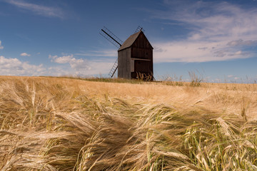 Old wooden wind mill with corn field in the summer © Jiri Dolezal