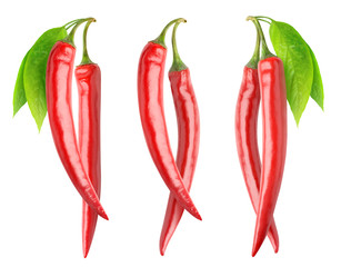 Isolated peppers collection. Pair of fresh red hot chili peppers on branches with leaves isolated...