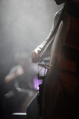 The cellist of the ensemble performs a part for his instrument in a concert on stage. © Anna Jurkovska
