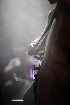 The cellist of the ensemble performs a part for his instrument in a concert on stage.