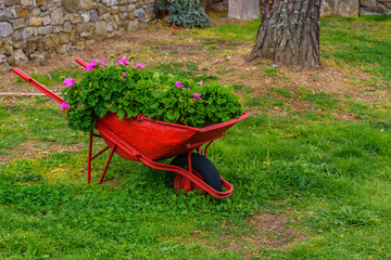 Wheelbarrow with flowers