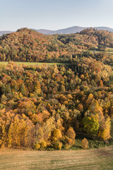 Fototapeta premium aerial view of the autumn forest