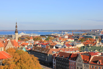 Naklejka na ściany i meble Panoramic View of Tallinn Old Town, Estonia. Vibrant image of estonian capital with scenic historical city architecture during sunny early autumn day. Empty blue sky background and skyline copy space.