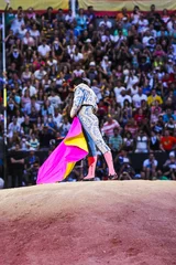 Photo sur Plexiglas Tauromachie torero faisant des mouvements devant les spectateurs dans l& 39 arène