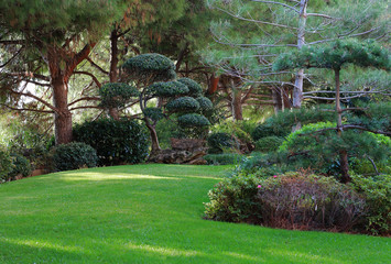 Japanese garden in Monte Carlo, Monaco