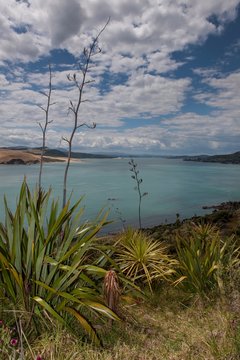 Hokianga rivier mouth
