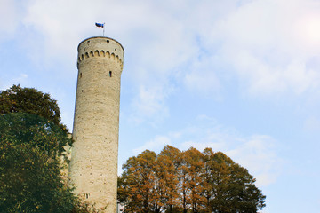 Pikk Hermann Tower, also known as Tall Hermann, at Medieval Toompea Castle, on Toompea hill in Tallinn, Estonia. Historic medieval stone texture architecture landmark during autumn in Estonian capital