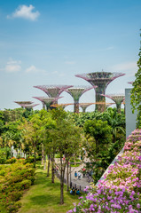 Baie de Singapour