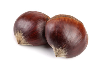 fresh edible chestnut isolated on white background
