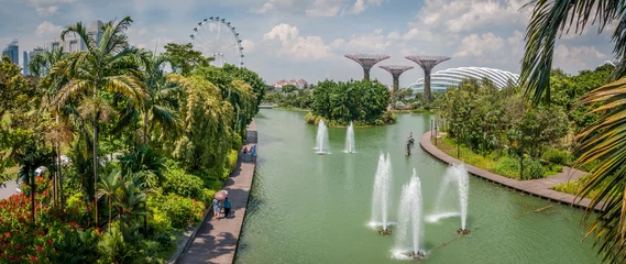 Zelfklevend Fotobehang Jardins de Singapour © jasckal