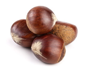 sweet chestnut isolated on white background