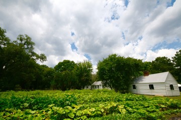 Charleston Farm