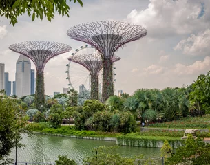 Fotobehang Jardins de Singapour © jasckal