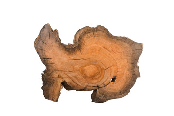 Cross section of tree stump isolated on white background