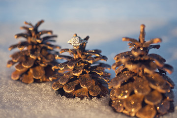 pineconesring
