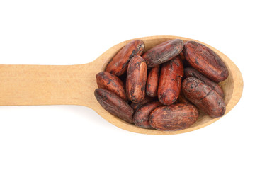 unpeeled cocoa beans in a wooden spoon isolated on white background close-up top view