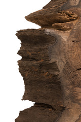 Cross section of tree stump isolated on white background