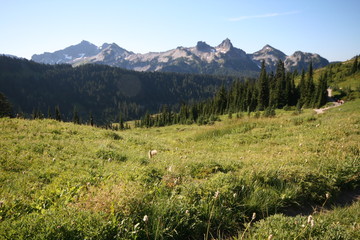 Fototapeta na wymiar Mountain Meadow