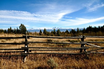 Teton Landscape