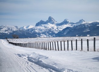 Fototapeta na wymiar Teton Winter