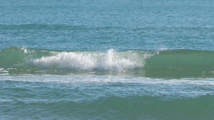 A wave in the Gulf of Mexico