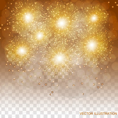 Brightly Colorful Fireworks. Transparent illustration of Fireworks. Holiday fireworks background.