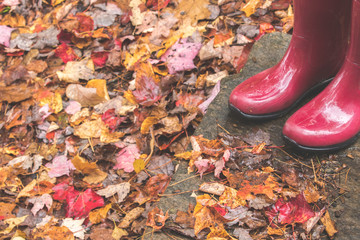 Red rain boots with fallen autumn leaves