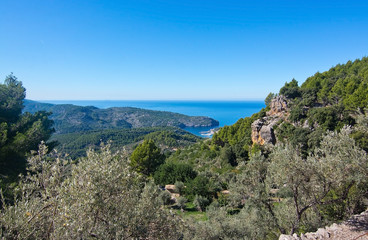 Fototapeta na wymiar Mallorca landscape October