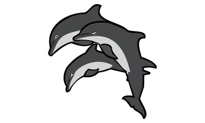 silhouette of the dolphins