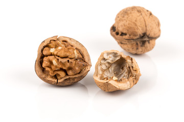 Walnut nut on white