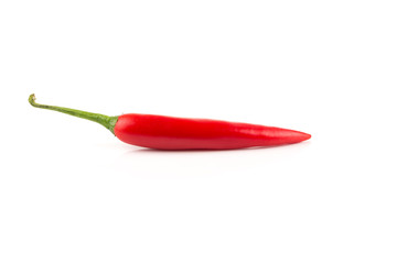 fresh red chili on white background