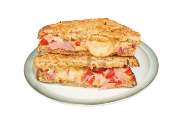 Toasted sandwich on a plate