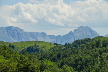 Fototapeta premium Latem szczyty lasu, wzgórza i góry. Las i tereny górskie