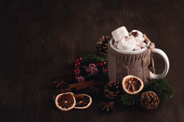 Hot chocolate drink with marshmallows for cold weather. Christmas and new year celebration concept with copy space