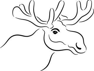 Elk