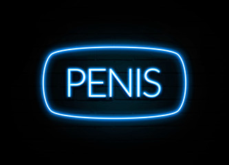 Penis  - colorful Neon Sign on brickwall