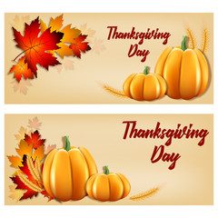 A set of cards or invitations for Thanksgiving. Vector illustration with pumpkins realistic ears of wheat maple yellow leaves