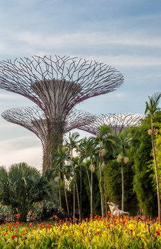 Jardins de Singapour
