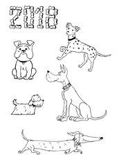 Vector set of dogs isolated on white background. Cute bulldog, dane, dalmatine, terrier and dachshund icons, elements for new year of dog 2018 design. Sign 2018 designed from dog's biscuits.