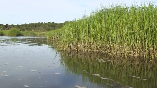 Gentle kayak ride drifting alongside tall seagrass in salt water marsh on Cape Cod