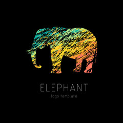 Elephant creative colourful logo template