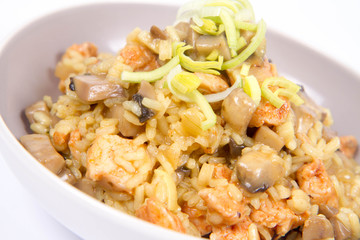 Risotto with mushrooms and chicken decorated with leek on a white background