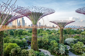 Crédence de cuisine en verre imprimé Singapour Jardins de Singapour